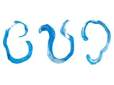 Trois formes ondulées en bleu sur fond blanc.